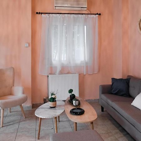 Ferienwohnung Cozy House In Pelion Káto Lekhónia Exterior foto